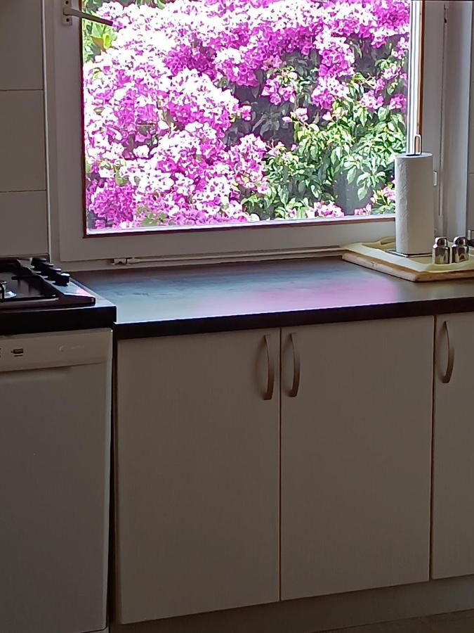 Apartments Sirius Korčula Екстериор снимка